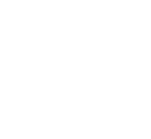 scandinavianedition logo dystrybucja itavian